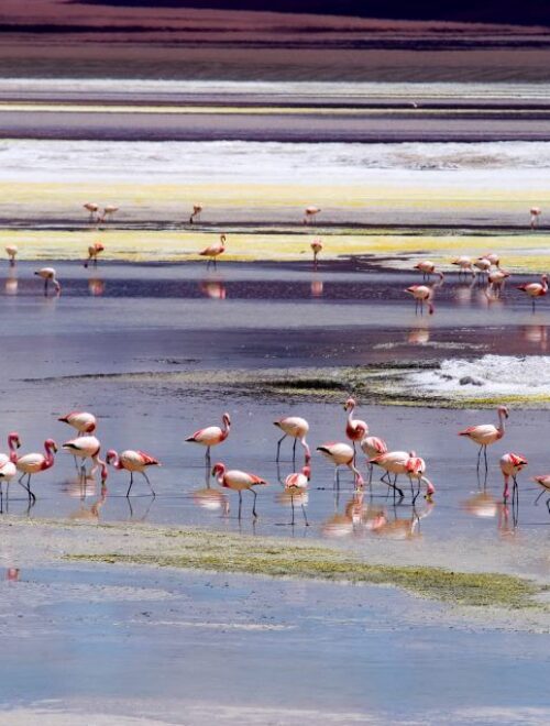 KHONA AVENTURA: NATURALEZA SALVAJE «TRAVESÍA DE LOS ELEMENTOS»
