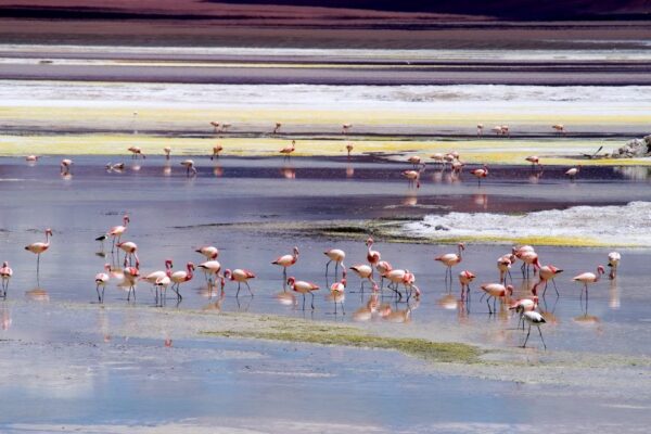 KHONA AVENTURA: NATURALEZA SALVAJE «TRAVESÍA DE LOS ELEMENTOS»