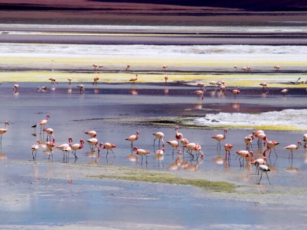 KHONA AVENTURA: NATURALEZA SALVAJE «TRAVESÍA DE LOS ELEMENTOS»